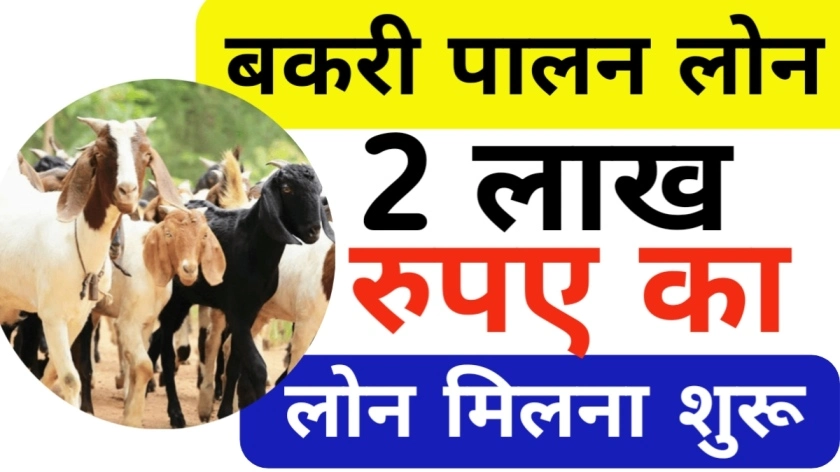 Bakri Palan Loan Yojana